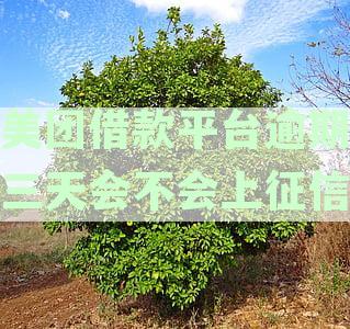 美团借款平台逾期三天会不会上征信