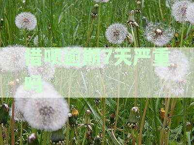 借呗逾期7天有啥影响吗？如何处理？
