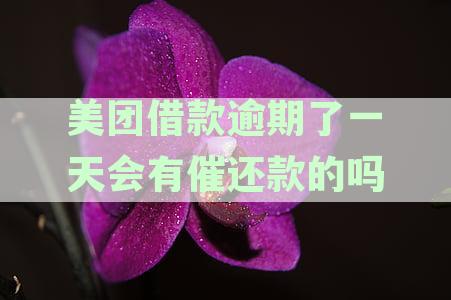 美团借款逾期一天还款后上征信了吗？会有催还款吗？安全吗？
