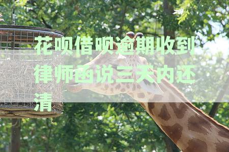花呗借呗逾期收到律师函说三天内还清