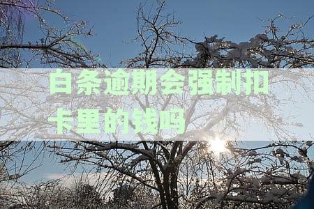 白条逾期会强制扣卡里的钱吗