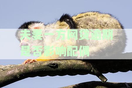 夫妻一方网贷逾期是否影响配偶买车贷款：探讨关联与影响