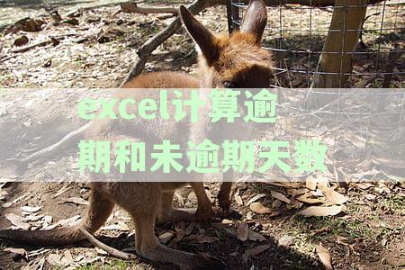 Excel计算逾期和未逾期天数公式：详解与应用