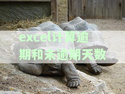全面解析：Excel中如何计算逾期和未逾期天数的差异及其实际应用