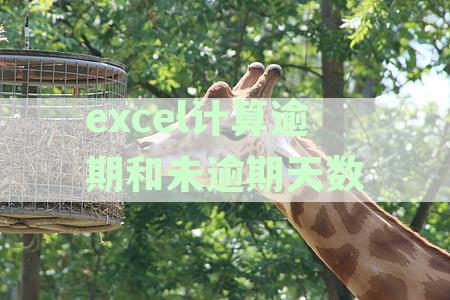 如何在Excel中计算逾期天数：函数与公式详解