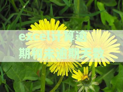 根据逾期天数计算函数：全面解决用户可能搜索的相关问题