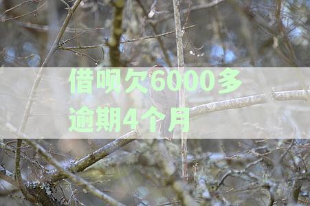 逾期6个月的借呗欠款900多元，该如何处理？