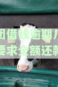 美团借钱逾期三天会要求全额还款吗？