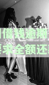 美团借款逾期后几天还款，是否能再次获得贷款机会？