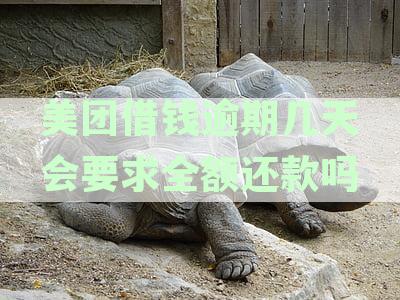 美团借钱逾期还款后再次借款遭遇困境，如何解决？