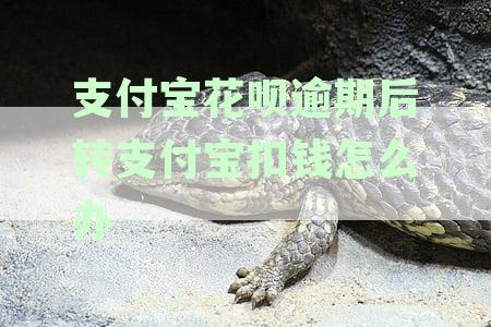支付宝花呗逾期后转支付宝扣钱怎么办：解决方法、安全性及自动还款问题。
