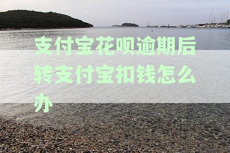 花呗逾期后资金紧张？支付宝快速还款攻略助您解围