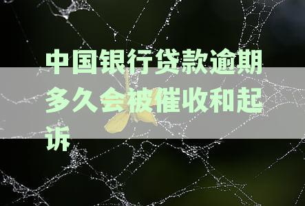贷款逾期一天：中国银行的影响及解决办法