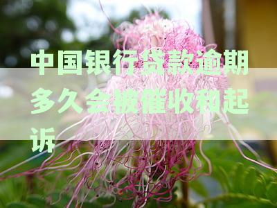 解决中国银行贷款逾期被起诉立案问题的综合策略与方法