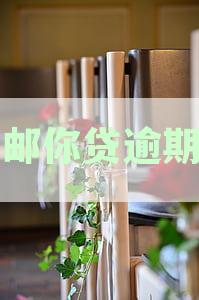 邮你贷逾期还款攻略：如何避免不良信用记录？
