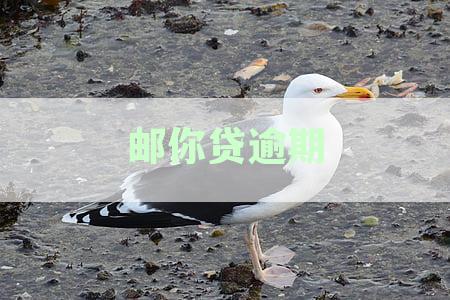 邮你贷逾期上征信时间全面解析：不同逾期天数的影响及解决方法