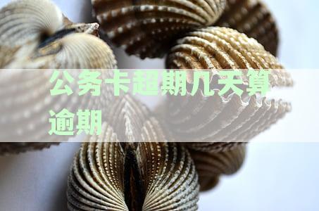 公务卡多长时间算逾期：探讨逾期定义与征信影响