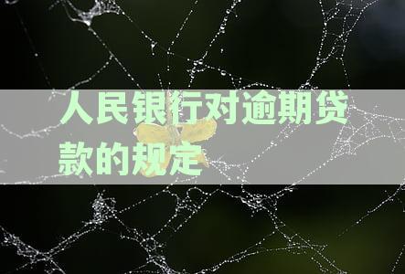 全面了解人民银行逾期贷款政策：罚息、期还款等相关规定解析与应对策略