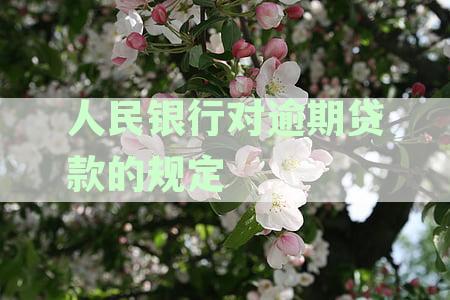 中国人民银行针对逾期信用卡贷款制定最新政策，加强监管措