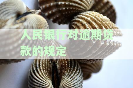 了解逾期贷款问题：人民银行文件全面解析、处理方法与预防措