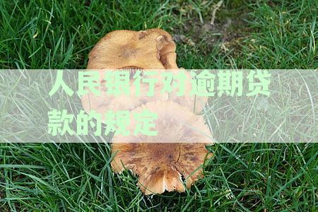 中国人民银行积极应对逾期贷款风险，维护金融稳定