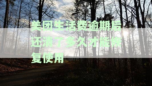 美团生活费逾期后还清了多久才能恢复使用额度