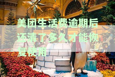 美团生活费逾期后还清了多久才能恢复使用