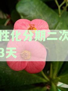 新个性化分期晚还款一天会产生什么影响？如何解决逾期问题？