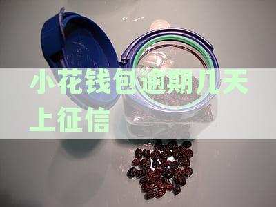 '小花钱包逾期多久上征信：记录、报告与天数详解'