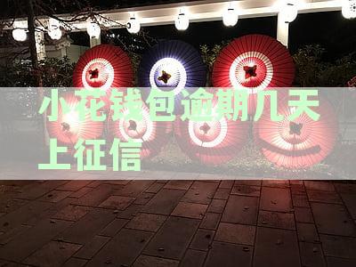 小花钱包逾期还款后果与应对策略分析