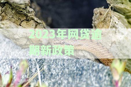 2023年网贷逾期新政策详细解读：如何应对、期还款及利率调整等相关问题