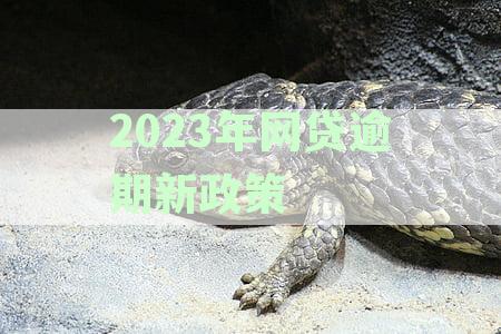 2023年网贷逾期新政策全面解析：如何应对、影响与解决方案一文详解