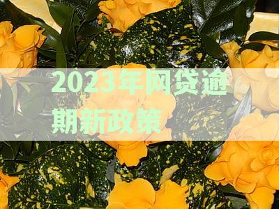 2023年网贷逾期新规定：解读最新政策，避免逾期风险！