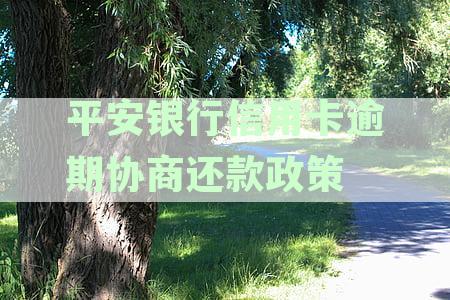 平安银行信用卡逾期还款协商政策全解析：95188热线详细指南与常见问题解答