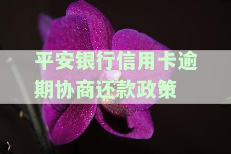 平安银行信用卡逾期还款协商电话服务详情