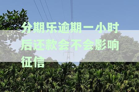 逾期一天的分期乐还款后，借款资格是否恢复？继续借款的可能性大吗？