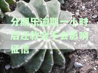 分期乐逾期一小时后还款会不会影响征信