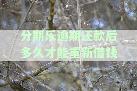 分期乐逾期后还款，征信恢复时间及具体步骤详解