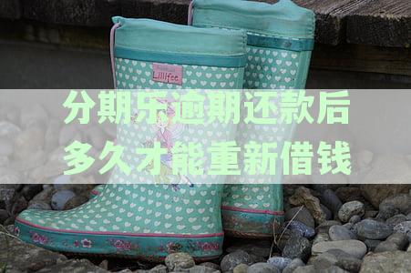 分期乐逾期还款后多久可以再次借款？需要还清吗？