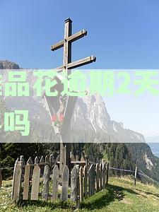 唯品花逾期一天是要把所有钱都得还上吗？会上征信吗？