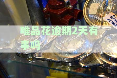 品花逾期五天后的严重后果：征信、起诉、取现、消费资讯一览