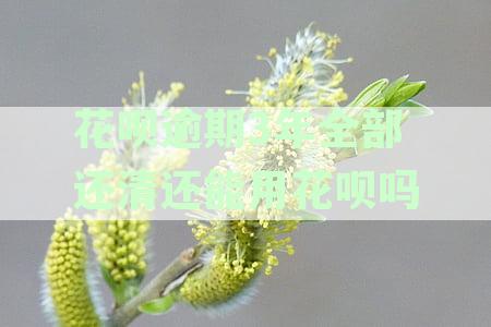 花呗逾期3年全部还清后还能用么？怎么办？