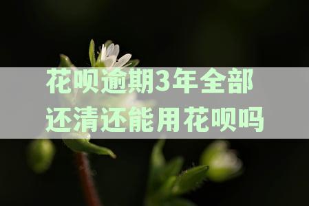 花呗逾期三年后还清，何时能重新开通并恢复正常使用？
