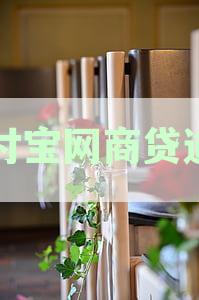 支付宝网商贷逾期一天会不会影响征信：探讨影响及可能后果