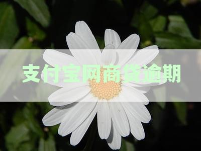 支付宝网商贷逾期后是否会进行上门调查？用户该如何应对与预防逾期问题？