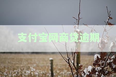 支付宝网商贷逾期期最新政策：通知与查询详解