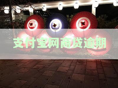 支付宝网商贷逾期