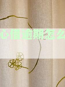 放心借逾期怎么协商还本金的和谁协商催收吗，如何处理？