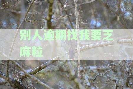 支付宝芝麻信用逾期后果揭示：真的会发信到户地吗？