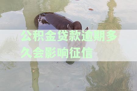 5月1日起取消征信逾期记录：真的假的？保持三年是什么意思？